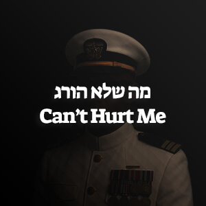 סיכום הספר מה שלא הורג Can't Hurt Me