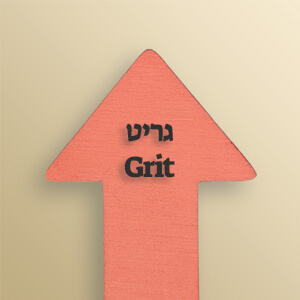 סיכום הספר גריט Grit מאת אנג'לה דאקוורת (Angela Duckworth)